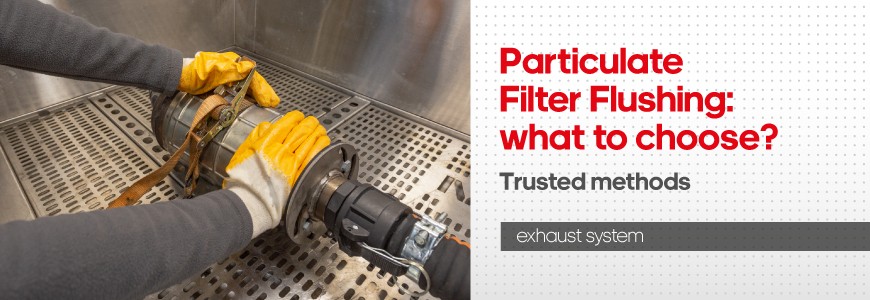 What should one flush the particulate filter with? Lifehacks or trusted methods?