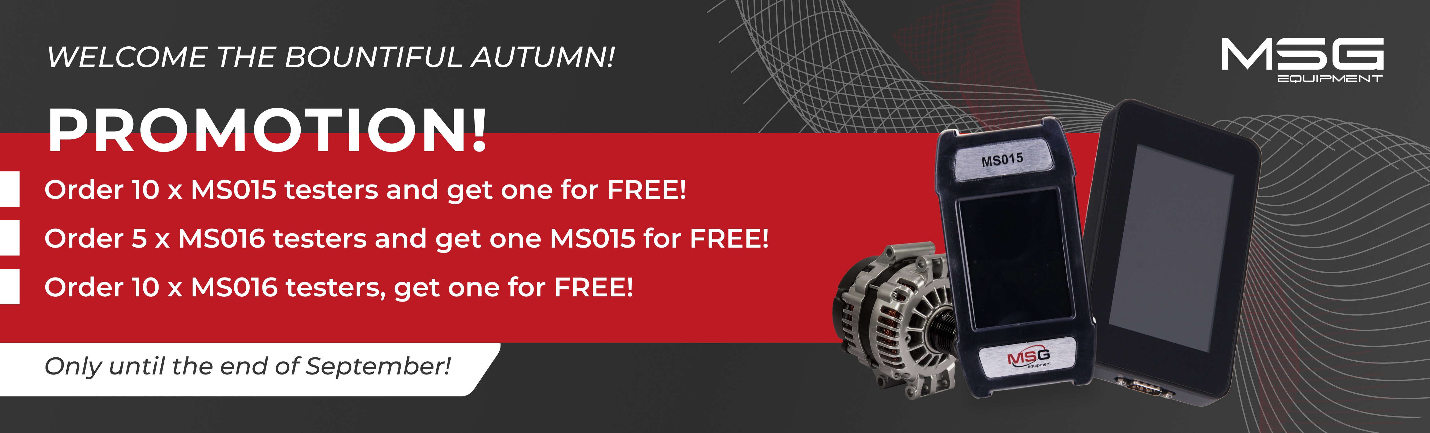Promotion from MSG Equipment: an additional gift to the order